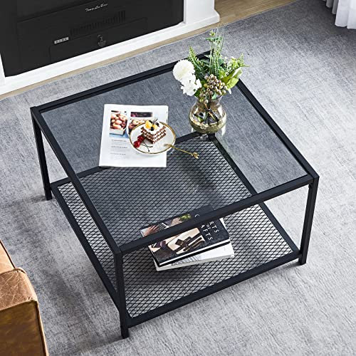 SAYGOER Glas-Couchtisch mit Ablagefach, 2 Etagen, modern, industriell, quadratisch, einfacher Mitteltisch für Wohnzimmer, Zuhause, Büro, kleiner Raum, 27.6x27.6x17.7 cm, grau, schwarz