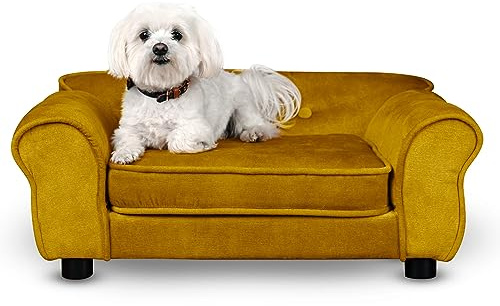 Mg Design Haustiersofa in Gold – stabiles Holzgestell, weich gepolstert, pflegeleicht – Hundesofa & Katzensofa, fertig montiert