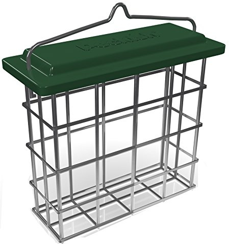 Peckish All Weather Suet Cake Feeder, Green