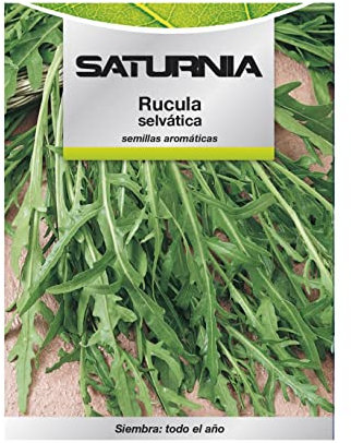 SATURNIA Semillas Aromaticas Rucula Selvatica (2.5 Gramos) Horticultura, Horticola, Semillas Huerto.
