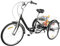 ACROSSPART Dreirad Fahrrad Trike Cruise Bike Schwarzes Dreirad mit Rutschfesten Verschleißfesten Rädern und Lampe 6 Gang Faltable Erwachsenendreirad Einkaufskorb Trike Dreiradpedal Fahrrad