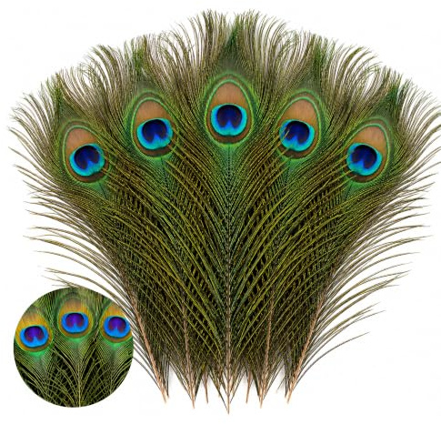 WedDecor Small Real Peacock Feathers 10 - 12, Colourful Feathers for DIY, Kid's Arts and Crafts, Projects, Carnival Dress-Up Home Wedding Decorations, 25pcs | Beautiful Feathers for for Vase, DIY, Kid's Arts and Crafts, Projects, Carnival Dress-Up Home Wedding Decorations