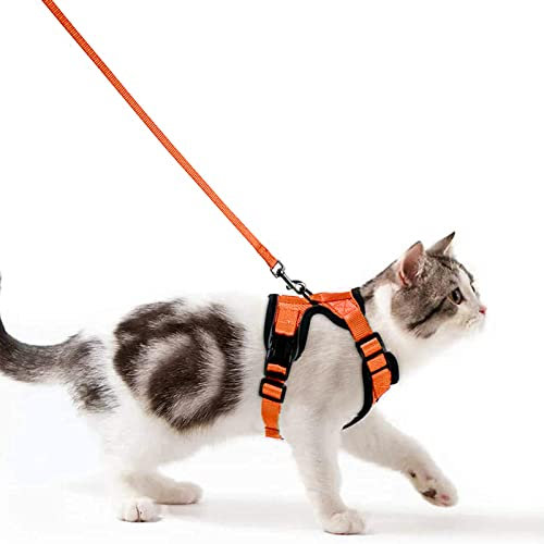 Katzengeschirr mit Leine Ausbruchsicher Katzenleine Set Verstellbar weich Kätzchenweste mit Reflektierenden Streifen Brustgeschirr für kleine Kitten (Orange, XS)