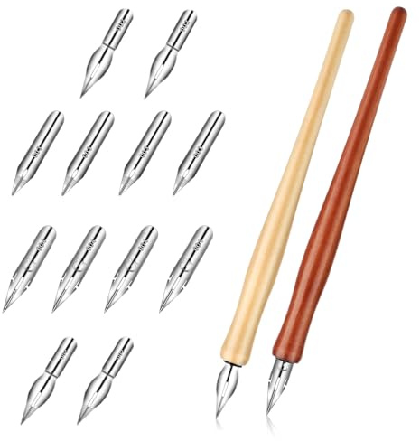 EupHHonycs Set di 14 penne a immersione obliqua per calligrafia, pennino per calligrafia, penna a immersione 2 in 1 con 12 pennini di ricambio per scrittura, pittura, firma