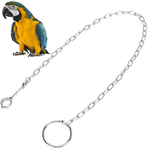 Vogel Fußkette Edelstahl Knöchel Fuß Ring Zubehör Vogelgeschirr Leine Outdoor Papageien Fliegen Trainingsseil Verhindern Sie das Entkommen