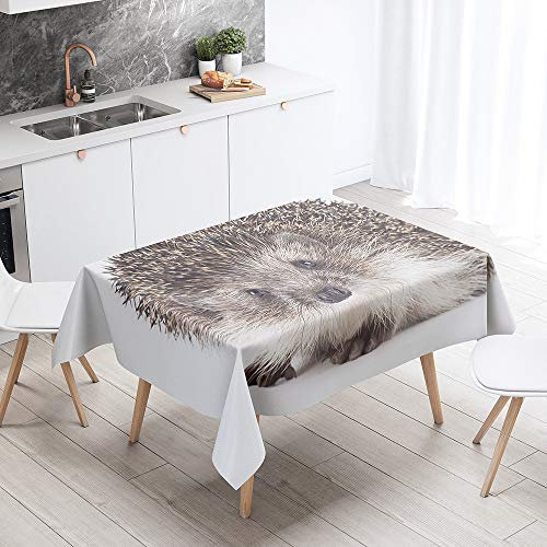 Tischdecke Abwaschbar, DOTBUY Wasserabweisende Tischdecke Rechteckig Abwischbare Wachstuch für Desktop Dekorative Tuch Hotel Bankett Party Garten (Igel,140x200cm)