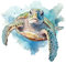 GRAZDesign Wandtattoo Schildkröte Badezimmer Aufkleber, Wandsticker Nordsee | Wandaufkleber Bad, Tür, Fliesenaufkleber - 65x57cm