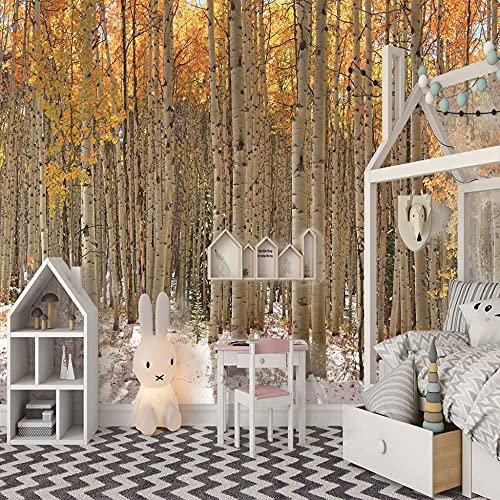 Fototapete Birkenwald 350x256cm Vlies Tapeten Moderne Wanddeko Wandtapete xxl Design Wand Dekoration Wohnzimmer Schlafzimmer Büro Flur Landschaft