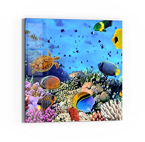 DEQORI Glasbild Echtglas | Motiv Lebensraum Korallenriff | quadratisch einteilig 30x30 cm | schöne Dekoration | Wandbild für Wohnzimmer, Schlafzimmer, Flur & Küche | moderne Wanddeko