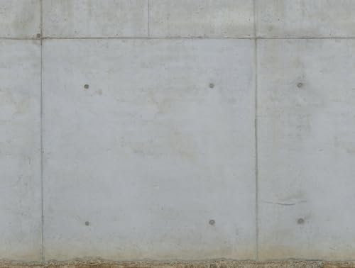 A.S. Création Livingwalls Vliestapete - Tapete Betonoptik in Grau - Wandtapete für verschiedene Räume - Wandbild XXL 2,80 m x 3,71 m