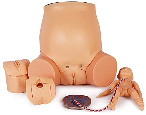 Lehrmittel für eine menschliche Modellpuppe, EIN fortgeschrittenes Hebammen-Trainingsmodell, eine Krankenpflegepuppe, EIN Geburtsmodell für die medizinische Ausbildung in der Krank