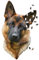 Madd Capp Animal Dog Shaped 550 Piece Jigsaw Puzzle - I Am Frenchie Bulldog, Golden Retriever or German Shepherd Shaped Jigsaw 10+ Years (German Shepherd)