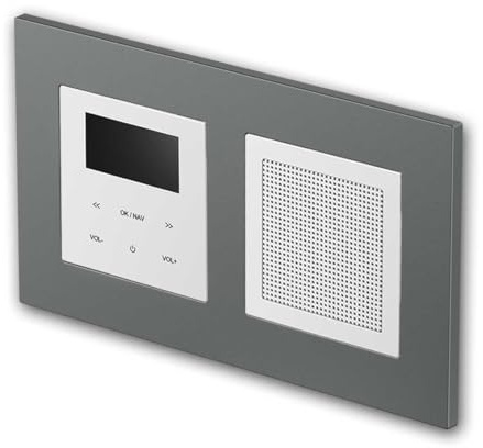 LOGIQ Unterputz Radio mit 2W RMS Lautsprecher, DAB+, UKW und Bluetooth, OLED-Display, Weck- und Sleeptimer, Lieferung mit 2-Fach Rahmen Flat, anthrazit