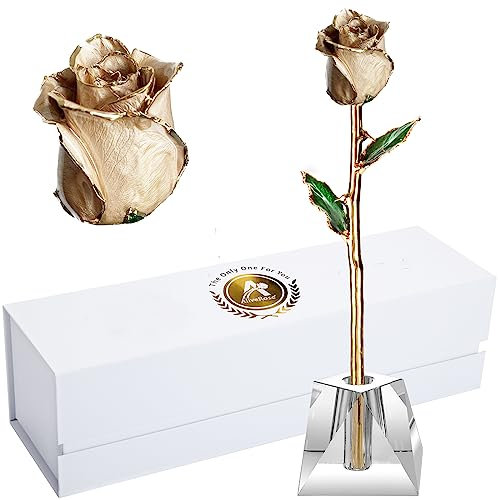 AliveRose Rose trempée dans l'or 24 carats fabriquée à partir de véritable rose – Design unique plaqué or rose pour anniversaire, Saint-Valentin, fête des mères, anniversaire (rose originale beige