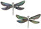 Kiara Schmuck, Libellen-Ohrstecker mit natürlicher, grün-blauer Paua-Abalone-Muschel.Nicht anlaufende Silberfarbe, hypoallergen, rhodiniert.