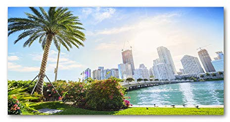 Tulup Acrylglas - 120x60cm - Bild Acrylglas Deko Wandbild Kunststoff/Acrylglas Bild - Dekorative Wand Küche & Wohnzimmer - Miami USA
