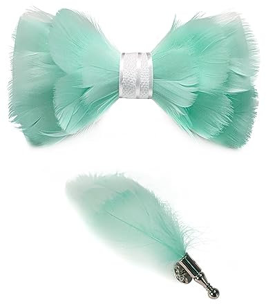 JEMYGINS Handgemacht Hochzeit Party Leder Fliege Feder Fliegen mit Geschenkbox Set für Herren, hellgrün