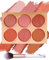 Tavolozza blush con pennello per fard, 6 colori, opaca, resistente al sudore, non grassa e non grassa, per il trucco quotidiano, per la polvere pressata di Natale