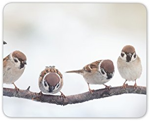 Destination Vinyl Ltd Little Brown Birds Mouse Mat Pad Cute Sparrow Bird Gift Computer PC Gift #8142