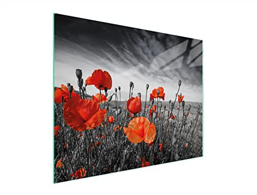 DarHaus Planche à découper en verre Ceranfeld 1 pièce 52 x 40 cm, plaque de découpe en verre, protection anti-éclaboussures, plaque en verre universelle, cuisine, Coquelicots Rouge