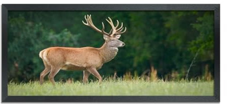 ASXBMIJO GA22B1123 Cadre photo panoramique en bois massif noir, 28 x 58 cm, pour posters, photos et œuvres d'art, cadre indispensable pour les souvenirs précieux