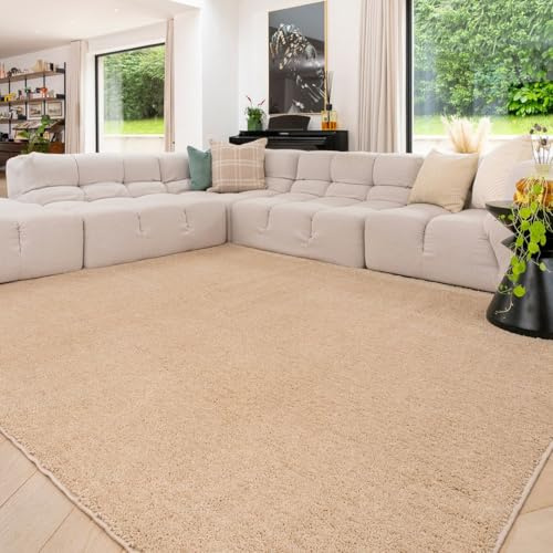 Sandshell Cream Machine Washable Warm Insulating Soft Cosy Touch Plush Thick Shaggy Rug for Bedroom Livingroom Hallway 120cm x 170cm (3ft 11 x 5ft 7)