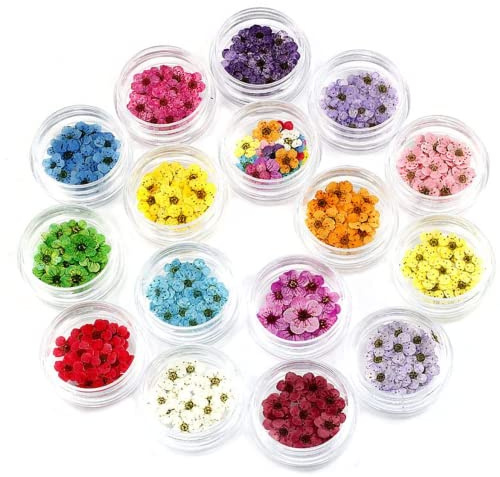 Getrocknete Blumen Nail Art Scheiben Mini Naturblumen Stern Herzformen Nagelaufkleber Harzzubehör für Dekoration DIY Handwerk 16 Stück..