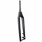 27,5″/29″ MTB Forcella, Forcella Rigida in Fibra di Carbonio/Tubo Conico 28,6 * 39,8 * 250mm/Asse 110 * 15mm/Freni A Disco/Tubo del Freno all'Interno Dell'Allineamento