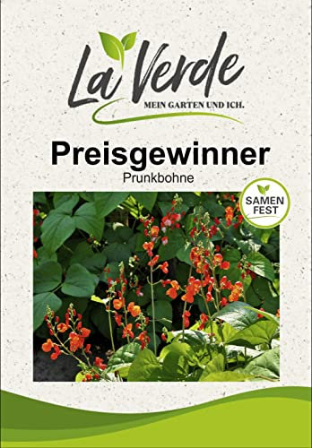 Prunkbohne Preisgewinner Bohnensamen