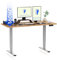 FLEXISPOT Höhenverstellbarer Schreibtisch Elektrisch, 3-Fach Teleskop & Dual-Motor, Belastbarkeit 160 KG, Bürotisch mit Memory-Funktion&Anti-Kollisionssystem(160 x 80 cm Ahorn, Gestell Grau)