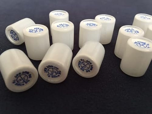 Canisters 1 Gramm - 100 Stück. Canister Entfeuchter Kissen. Reine, sichere und wiederverwendbare Oxygen Absorber Silikat Beutel. Erneuerbare Granulat Raumentfeuchter Kieselgelbeutel.