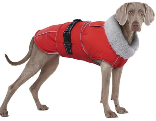 Hundemantel Winter, wasserdichte Warme Jacke Weste Hundejacke Fleece Gefüttert Wintermantel mit Fleecekragen Winter Hundekleidung(Rot, 3XL)