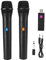 Wireless Microphone, Universal 2 in 1 VHF Portable Karaoke Microphone, USB Receiver, Wireless Microphone for Karaoke, Live Performance, Meeting (1 to 2)