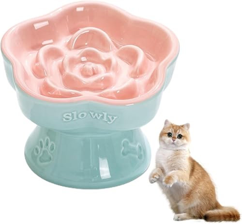 Gamelle en Céramique pour Chats, Gamelle Anti Glouton Chat, Bol pour Chat Anti-Vomissements, Réduit Le Vomissements Et Ballonnement pour Chat Bol de Slow Food pour Animaux de Compagnie Grand