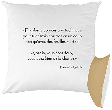 Mygoodprice Coussin Bicolore imprimé 40x40 cm Kaamelott Technique Perceval Moka