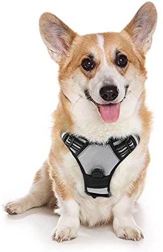 rabbitgoo Hundegeschirr Mittelgroße Hunde, Anti Zug Geschirr mit Kontrolle, No Pull Verstellbar Hundegeschirr Grosse Hunde, Atmungsaktiv Reflexstreifen Brustgeschirr Sichere Führung Grau M