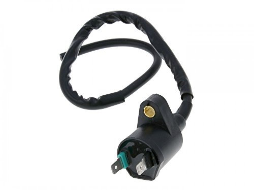 Zündspule 2 Pins für , Kymco, Peut, GY6, SYM