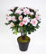 Seidenblumen Roß Azalee 34cm pink-weiß im Topf LA Kunstpflanzen Kunstblumen künstliche Blumen Pflanzen Azaleenbusch