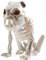 JOYIN 24,1 cm Halloween Skelett Hundeskelett für Halloween Dekoration Hundeknochen aus Kunststoff mit Gelenken für Requisiten, gruselige Szenen
