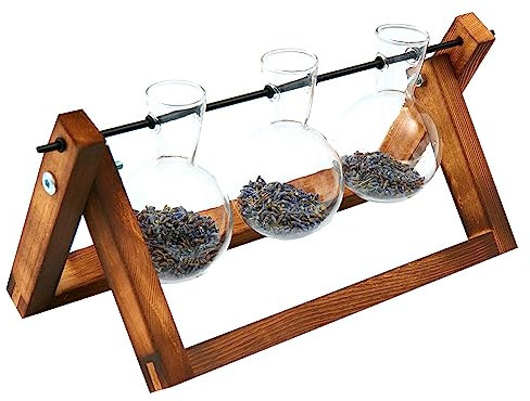 ZENO Desktop Clear Glass Planter Bulb Vase with Retro Solid Wooden Stand | Decorative Plant Terrarium for Hydroponics Plants Home Garden Wedding Decor (3 Vase) Propagation Station | Indoor Decor