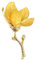 tanxuan Broche en forme de fleur de magnolia jaune en émail - Broche élégante en forme de fleur de magnolia - Pour manteaux, vestes, pulls, accessoires, badge, bijoux, cadeaux, Métal