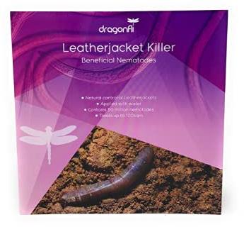 Dragonfli Leatherjacket Killer Nematodes 500 Square Metre Pack