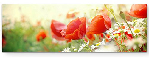 Paul Sinus Art Leinwandbilder | Bilder Leinwand 120x40cm Mohnblumen im Sonnenschein