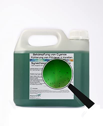 Plankton24 Synechococcus Sp. Plankton gegen Cyanos (3 Liter) mit Tigerpods Zooplankton Meerwasser