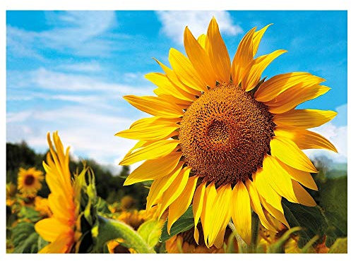 Ideen mit Herz 5D Diamond Painting | Diamant Painting Set | Motiv: 35 x 25 cm | Leinwand: 30 x 40 cm | runde Steinchen | inkl. Zubehör | Verschiedene Bilder zur Auswahl (Sonnenblume)