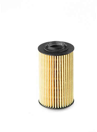 Ufi Filters 25.163.00 Ölfilter für Autos