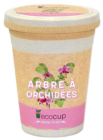Feel Green Ecocup, Arbre À Orchidées, Idée Cadeau (100% Ecologique), Grow-Your-Own/Kit Prêt-à-Pousser, Plantes Dans Coffee Cup 10 x 8 cm, Produit En Autriche