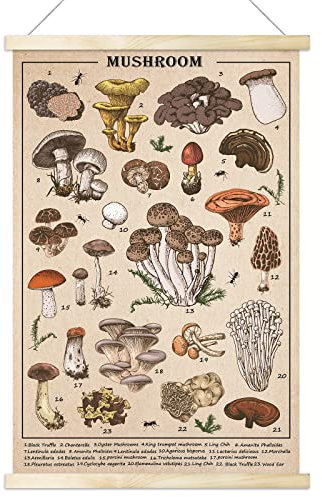 Vintage-Pilz-Poster, Pilz-Wandkunstdrucke, bunt, rustikaler Pilz-Stil, Wandbehang, illustrierte Referenztabelle, Poster für Wohnzimmer, Büro, Klassenzimmer, Schlafzimmer, Dekorrahmen, 40 x 60 cm