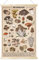 Vintage-Pilz-Poster, Pilz-Wandkunstdrucke, bunt, rustikaler Pilz-Stil, Wandbehang, illustrierte Referenztabelle, Poster für Wohnzimmer, Büro, Klassenzimmer, Schlafzimmer, Dekorrahmen, 40 x 60 cm