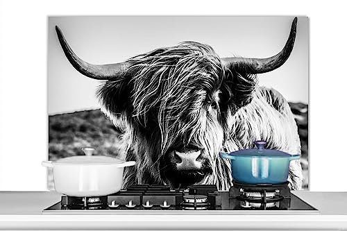KitchenYeah© Küchenrückwand Platte Spritzschutz Küche Deko Aluminium Platte Wandschutz Küchen Zubehör WandverkleidungKuh - Schottisches Hochlandrind - Schwarz - Weiß - Tiere - 100x65 cm